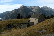 Alpe Genuina